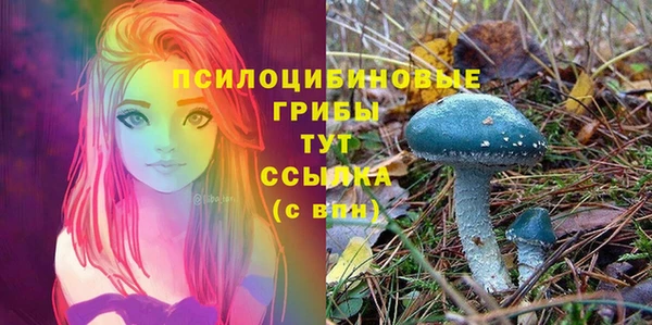ПСИЛОЦИБИНОВЫЕ ГРИБЫ Богданович