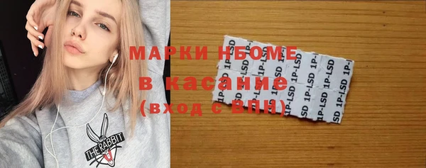 ПСИЛОЦИБИНОВЫЕ ГРИБЫ Богданович