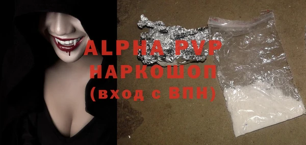 ПСИЛОЦИБИНОВЫЕ ГРИБЫ Богданович