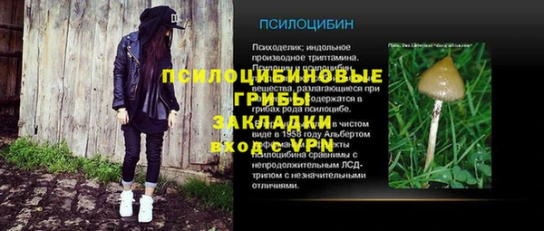 ПСИЛОЦИБИНОВЫЕ ГРИБЫ Богданович