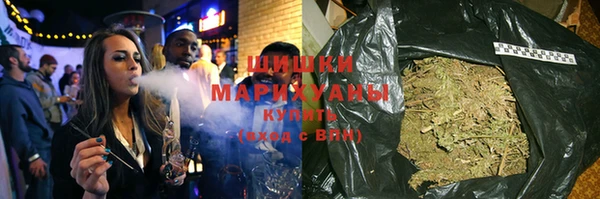 ПСИЛОЦИБИНОВЫЕ ГРИБЫ Богданович