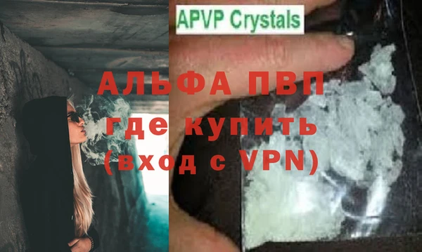 ПСИЛОЦИБИНОВЫЕ ГРИБЫ Богданович