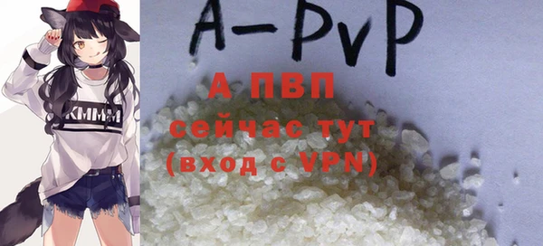 кокс Бородино